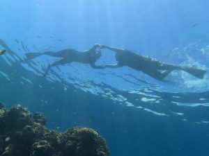 snorkeling menjangan
